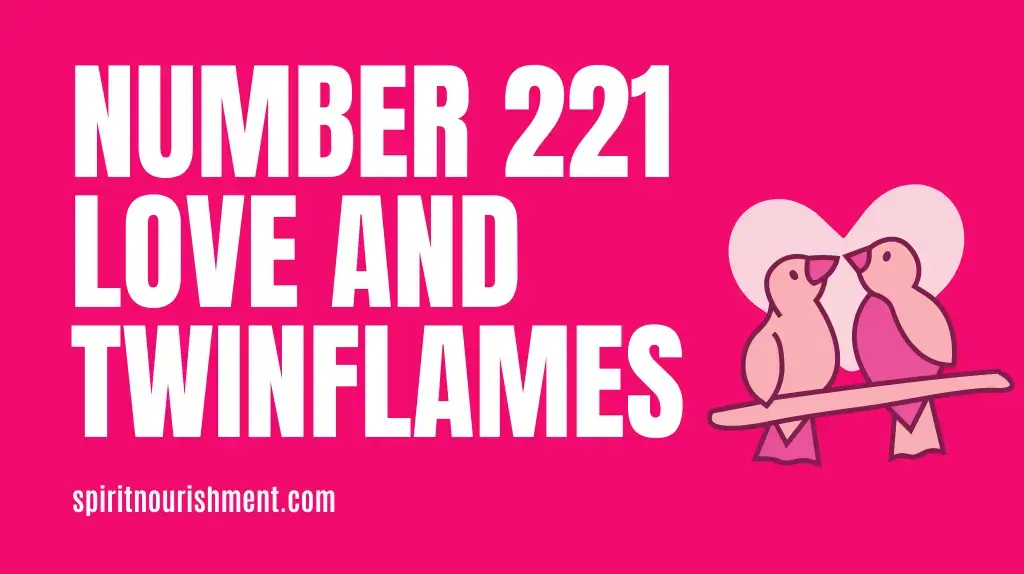 Angel Number 221 Meaning In Love and Twin Flames