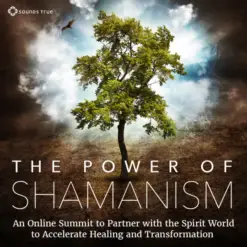 The Power Of Shamanism Course