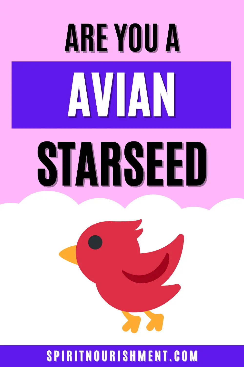 Are you an Avian Starseed 14 Major Traits, Mission & Purpose