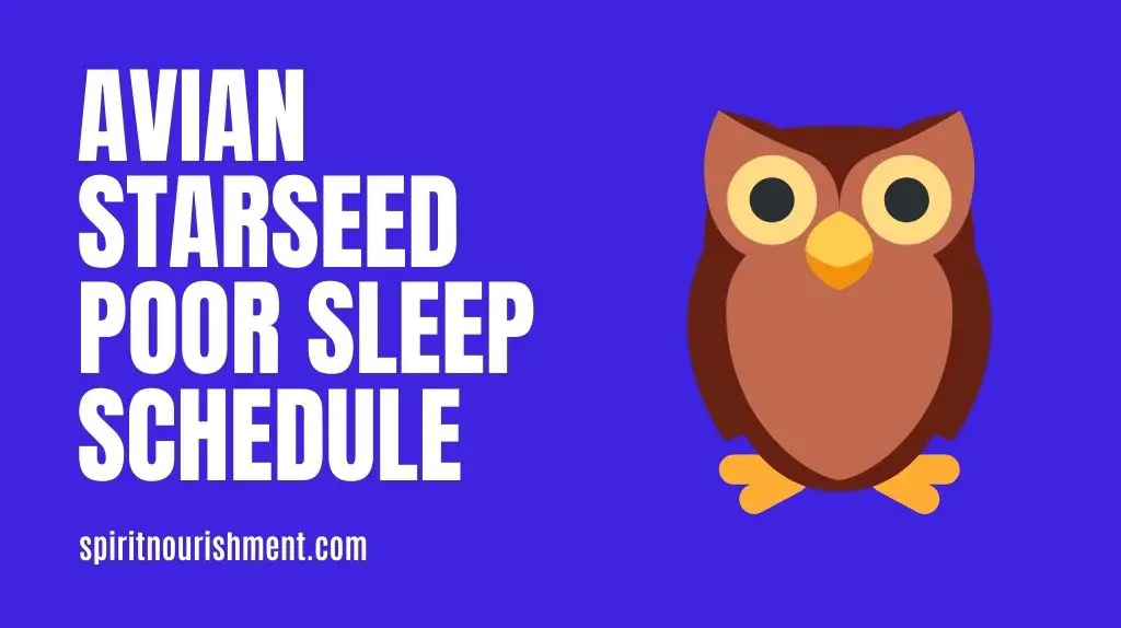 Avian Starseed Sleep Schedule