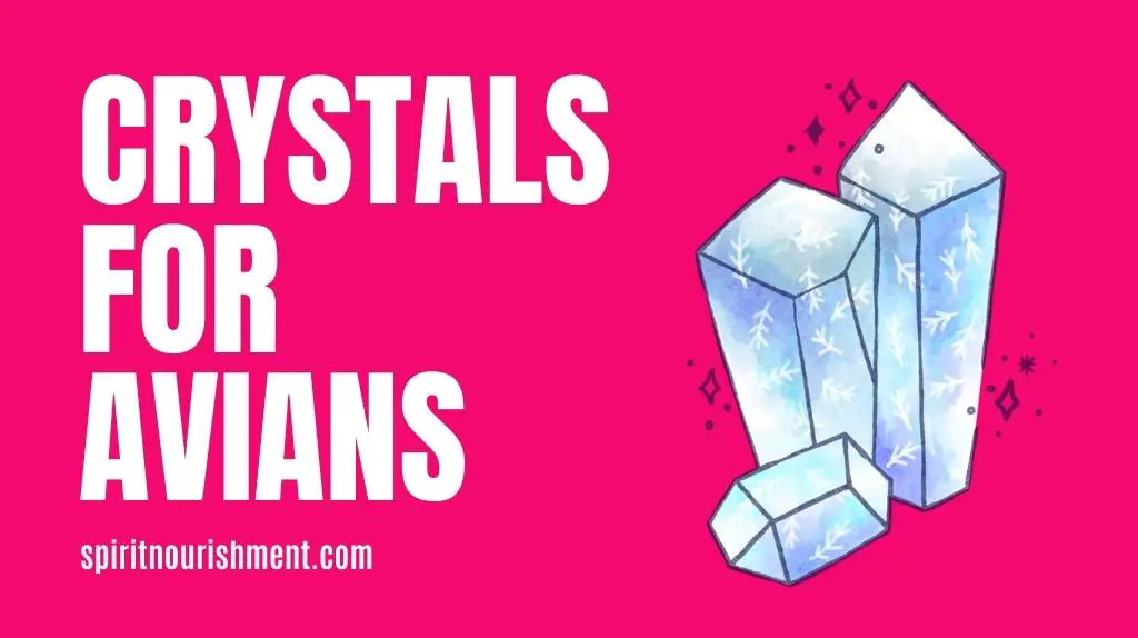 Crystals For Avian Starseeds