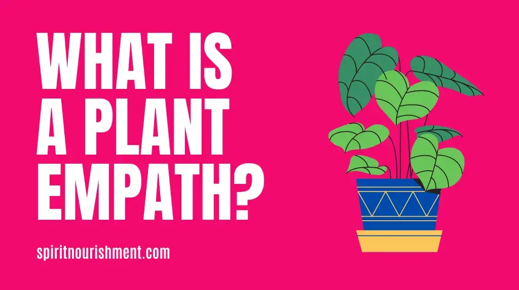 What is a PlantFlora Empath